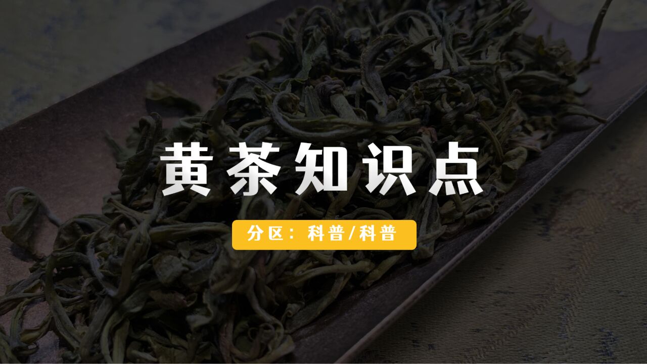 黄茶的十大基本知识点_腾讯视频