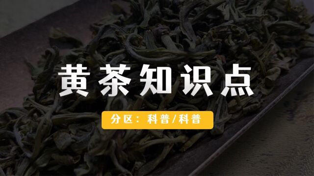 黄茶的十大基本知识点