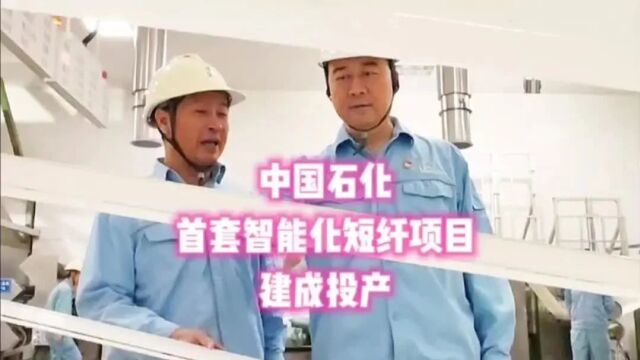 中国石化首套23万吨/年涤纶短纤项目建成投产!