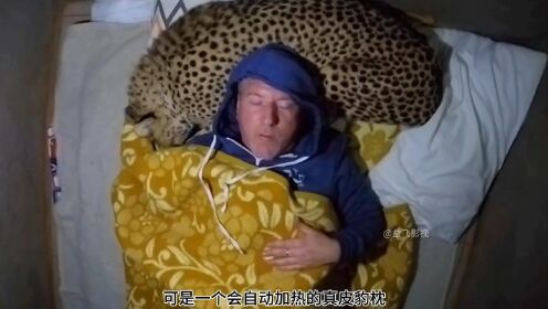 不出意外的话丧彪就会出意外了_高清1080P在线观看平台_腾讯视频
