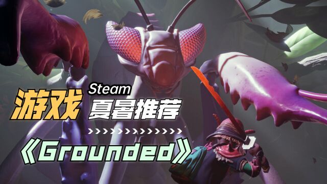 夏暑开黑必备游戏:《Grounded》