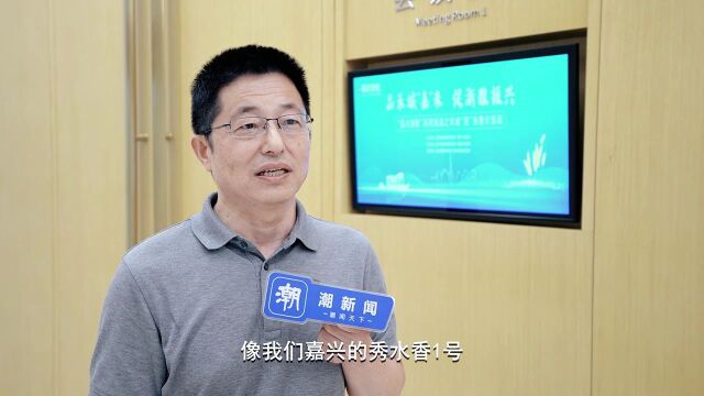 嘉兴乡村米厂变身时髦博物馆,黑科技“解忧”大米你尝过吗?