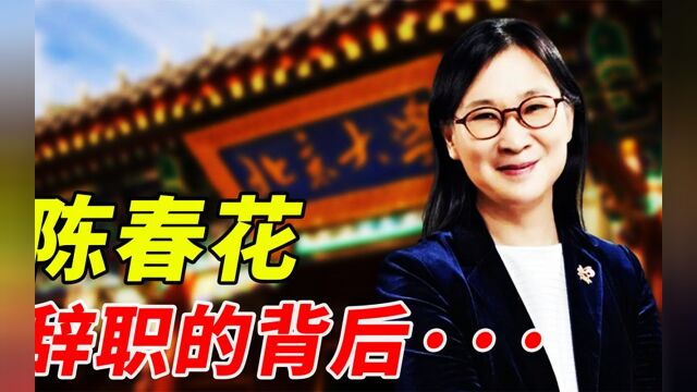 经济学家任泽平揭露,复旦大学某顶级教授涉嫌在国外注册野鸡大学