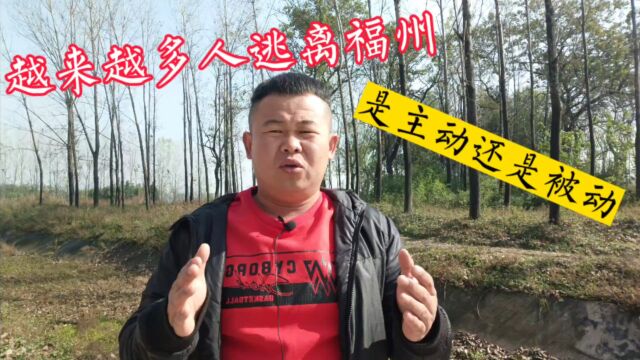 越来越多的人逃离福建福州,被动或主动,6个原因,基于现实考量