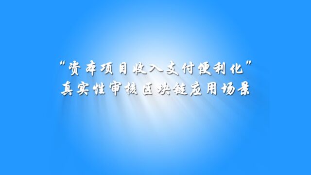 2 “资本项目收入支付便利化”真实性审核场景应用