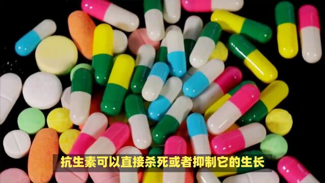 消炎药和抗生素有什么区别?专家为你解答