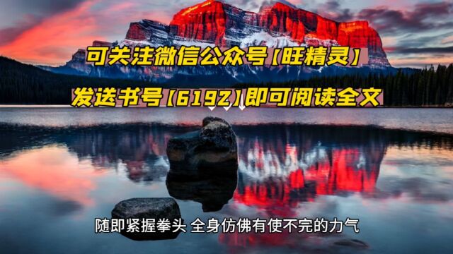 《亮剑组织敢死队我拿老李当诱饵》林峰○小说全文免费阅读完整版