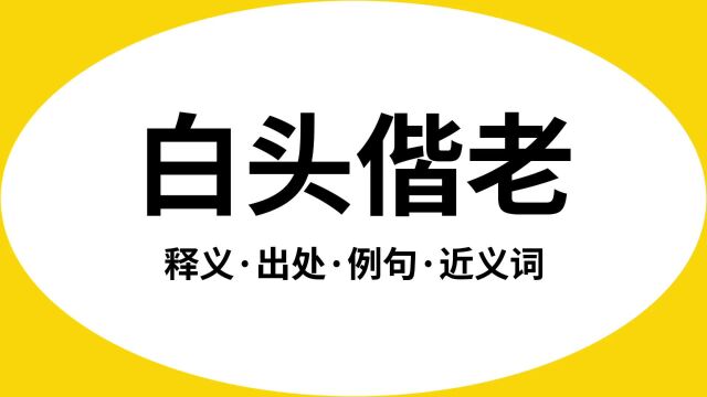 “白头偕老”是什么意思?