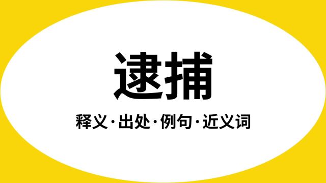 “逮捕”是什么意思?