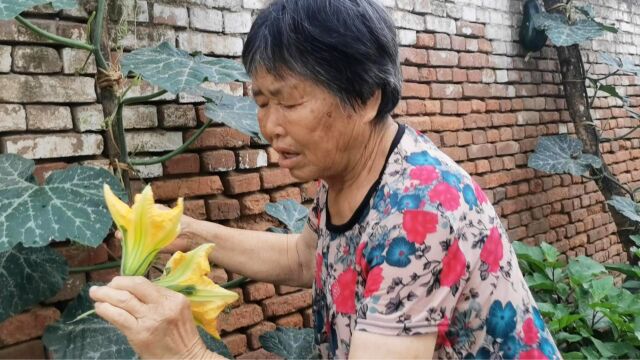 带你们看看奶奶的菜园都有哪些瓜果蔬菜,还挺齐全呢