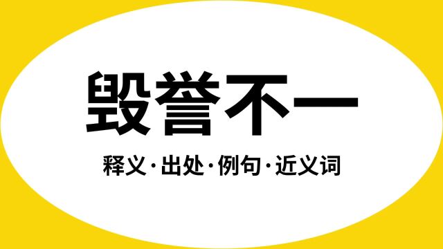 “毁誉不一”是什么意思?