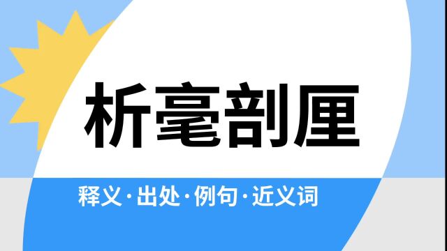 “析毫剖厘”是什么意思?