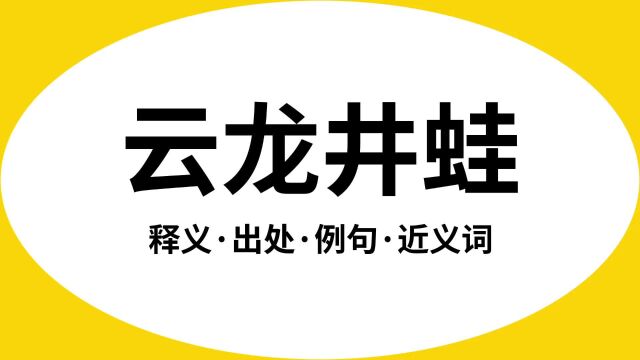 “云龙井蛙”是什么意思?