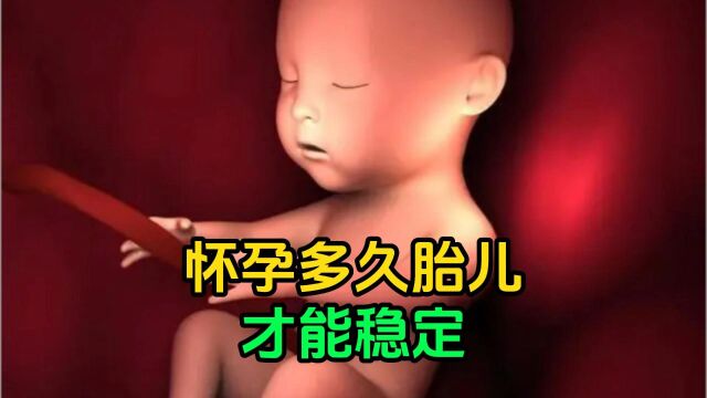 怀孕多久胎儿才能稳定?