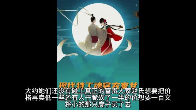 有声书《穿越成为农家女》顶级女特工韩雪穿越农家女,从一贫如洗到翻身农奴把歌唱 (17—33)