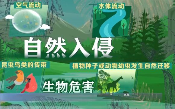 如何阻止入侵物种蔓延?外来物种入侵渠道都有哪些?