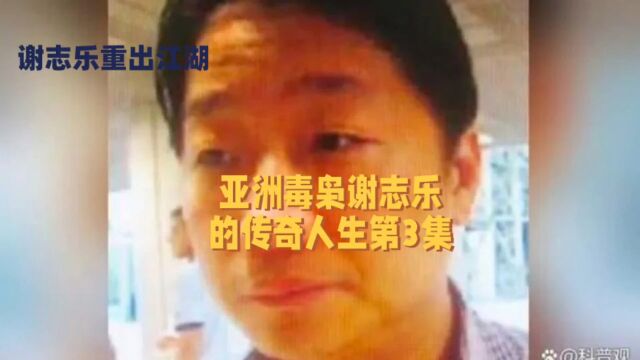 亚洲毒枭谢志乐的传奇人生第3集