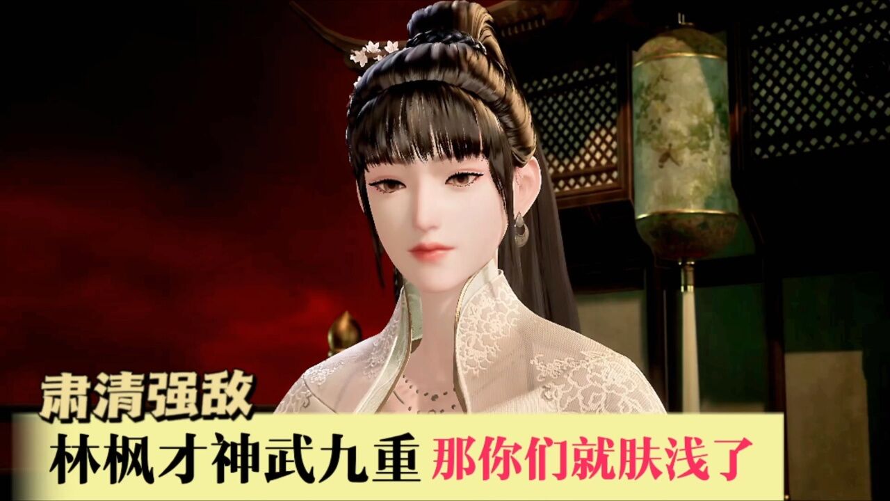万界独尊林枫角色介绍