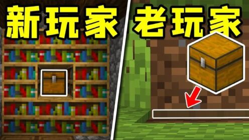 我的世界:12个藏箱子的最佳方法,老玩家必备!_高清1080P在线观看平台_腾讯视频