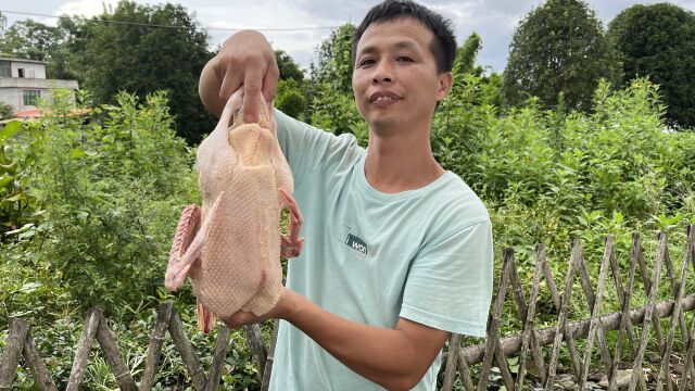 鸭毛怎样拔才快?小伙教你一个小妙招,拔鸭毛比脱衣服还要快