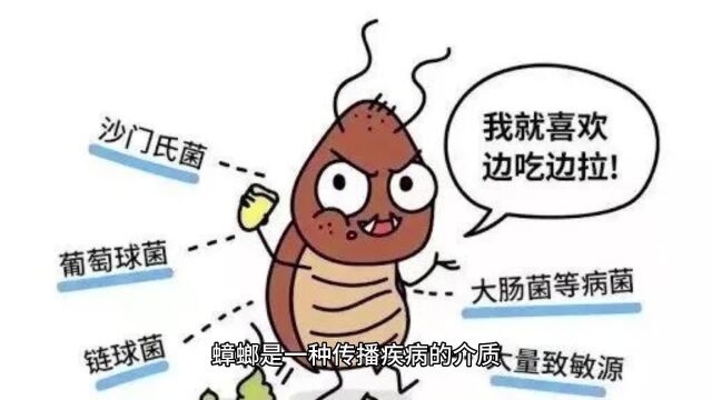 蟑螂的克星是什么?九成人不知道这个妙招,蟑螂“一夜消失”