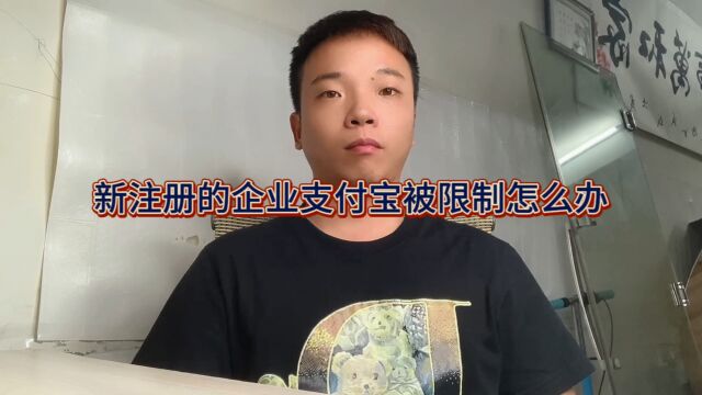 新注册的企业支付宝被限制怎么办