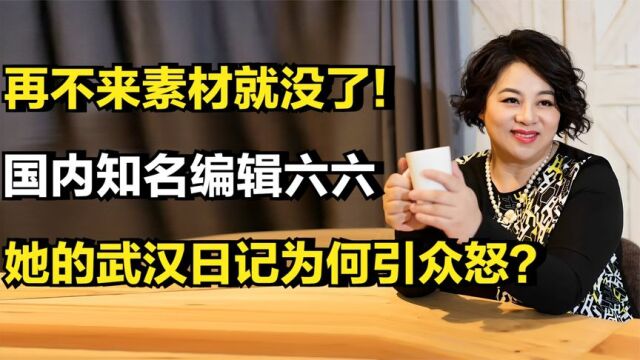 知名编辑六六:再不来素材就没了,她的武汉日记为何引众怒?