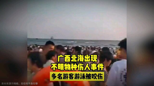 广西北海出现不明物种伤人事件,多名游客游泳被咬伤