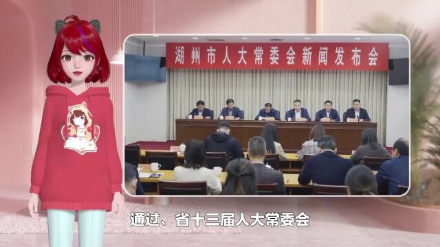 市人大常委会召开新闻发布会《湖州市居家养老服务条例》公布实施