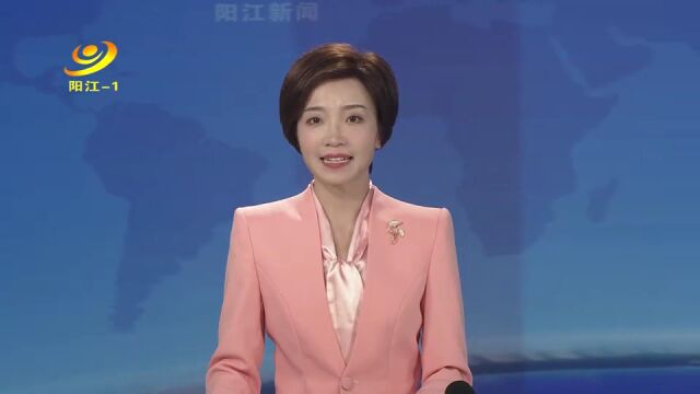 阳江:中博家博会购销两旺 商品成交量不断增长