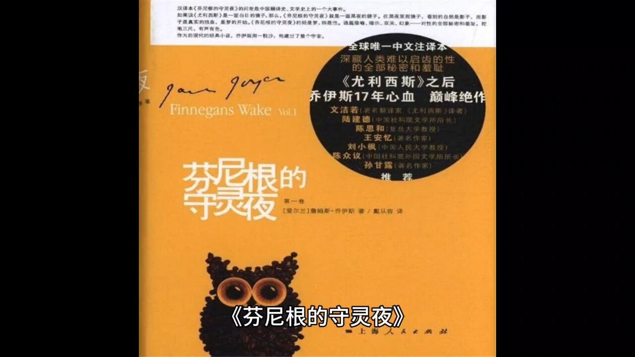 《芬尼根的守灵夜》：孤独才是我们真正的归宿。_腾讯视频}