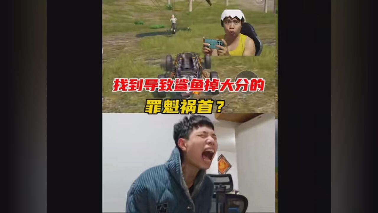 和平精英 #鲨鱼哟syy