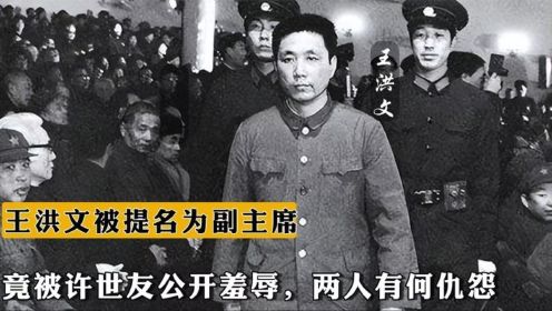 王洪文被毛主席提名副主席，竟被许世友公开羞辱，两人有何仇怨