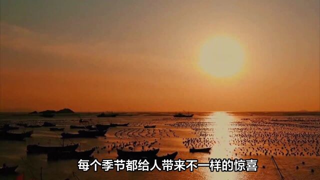 南宁更望湖四季美景令人流连忘返