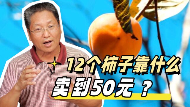 12个柿子卖到50元,靠什么?朱启臻:先把身边小事做实做好