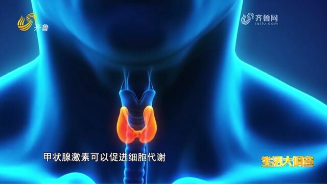 什么是甲状腺?甲状腺都有哪些功能?医生现场科普,告诉你答案