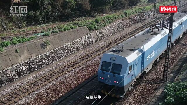 红视频丨岳塘区交通运输局:民有所困,政有所为