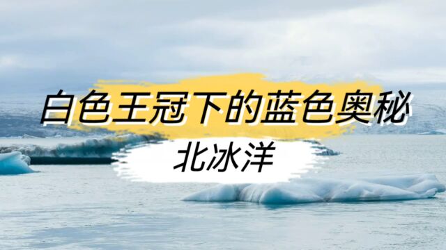 一分钟带你快速了解白色王冠下的蓝色奥秘——北冰洋