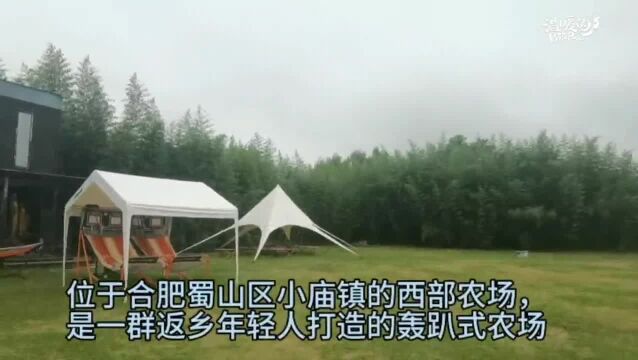 合肥蜀山区有一群返乡打造农场的年轻人