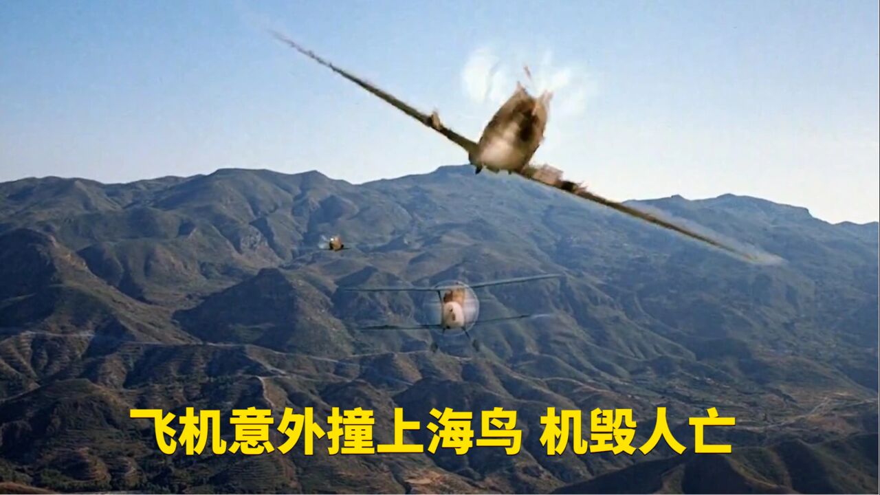 飞行员在海岸线执行任务时突然撞上海鸟,不幸坠毁当场起火爆炸,机毁人亡_高清1080P在线观看平台_腾讯视频