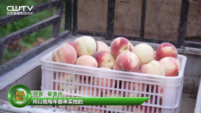 水蜜桃拓宽“甜蜜”致富路