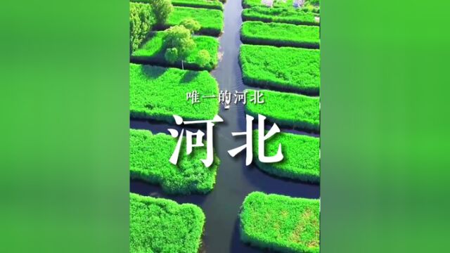 这是一条关于河北的“科普”,你学废了吗?