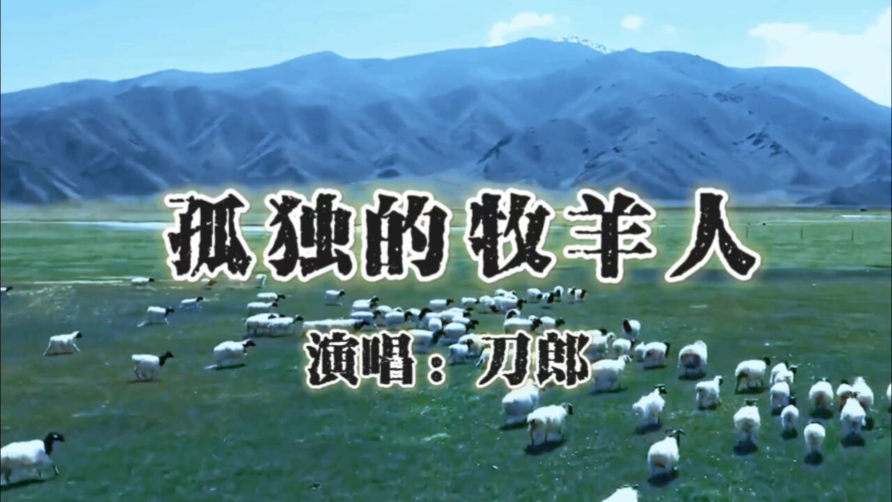 刀郎经典歌曲《孤独的牧羊人》熟悉的旋律响起,勾起满满的回忆!