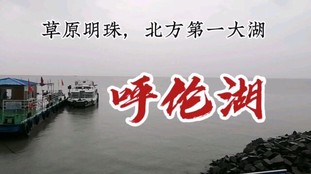 呼伦湖:草原明珠,北方第一大湖!