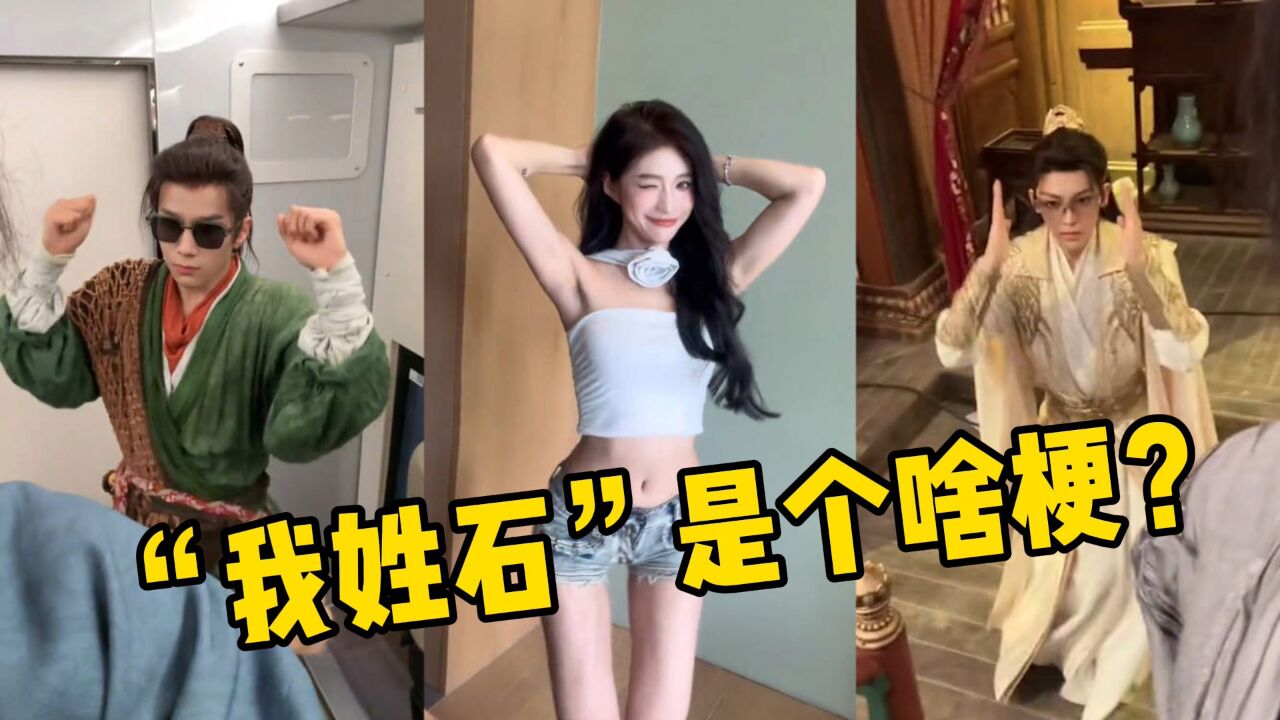 爆火全网的“我姓石”是个啥梗？不仅有5亿播放，甚至风靡外网！_腾讯视频