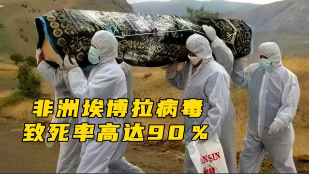 非洲埃博拉病毒有多可怕?致死率高达90%,看完你就知道了