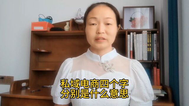 胡志英:玉山宝妈做个人社交化私域电商,私域电商是什么意思?