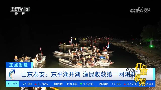 山东泰安:东平湖开湖,渔民收获第一网湖鲜