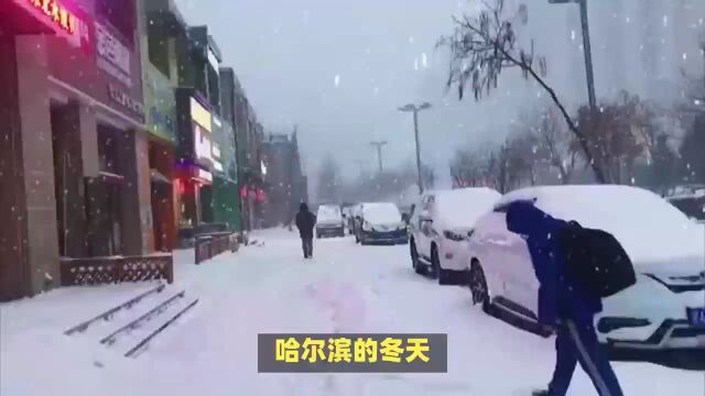 哈尔滨大雪人