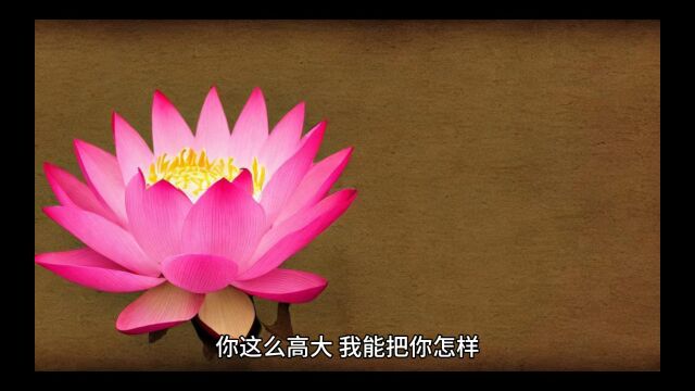 《女尊:成了状元郎,我开个后宫不过分吧》(念娇娇小说)无弹窗